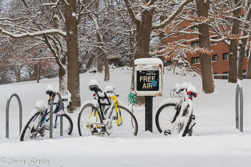 Free air and winter bikes 8488_Staats